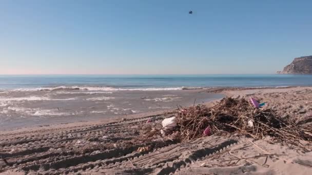 Playa contaminada con escombros de árboles y basura plástica después de una fuerte tormenta en la ciudad de Alanya, Turquía — Vídeo de stock