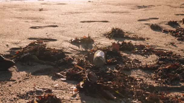 Femme ramasse les déchets en plastique et jette les bouteilles en plastique dans un sac poubelle. Nettoyage bénévole plage — Video