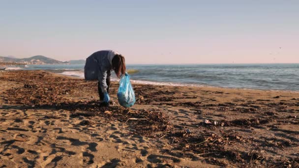 Voluntario recogiendo botellas de plástico basura dejada en la playa, manteniendo la playa limpia — Vídeo de stock