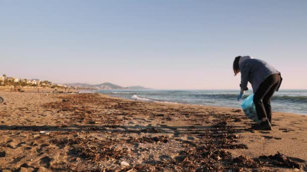 Pulizia volontaria della spiaggia dalla spazzatura. Donna che raccoglie bottiglie di plastica sulla spiaggia — Video Stock