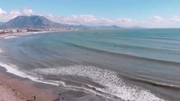 Surfere på brædder surfer og venter på bølger. Folk sidder på brædder i havet – Stock-video