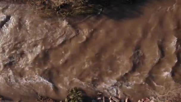 Szybko płynąca zalana kaskada błotnistej wody po silnym tropikalnym deszczu — Wideo stockowe