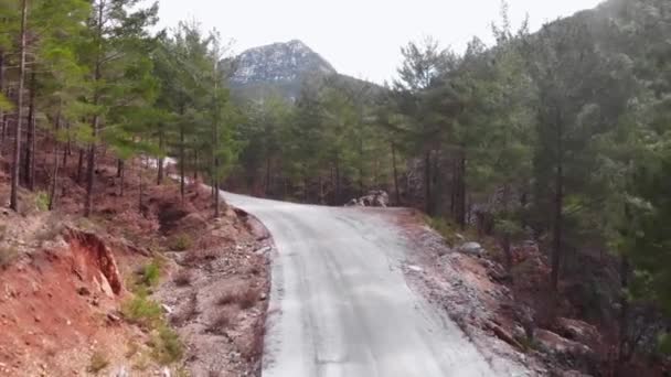Strada di montagna vuota circondata da una pineta. Bellissimo paesaggio montano — Video Stock