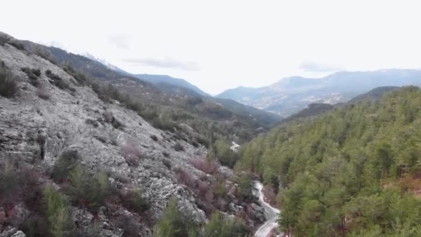 Estrada através de montanhas rochosas e floresta de pinheiros. picos de montanha com floresta verde — Vídeo de Stock