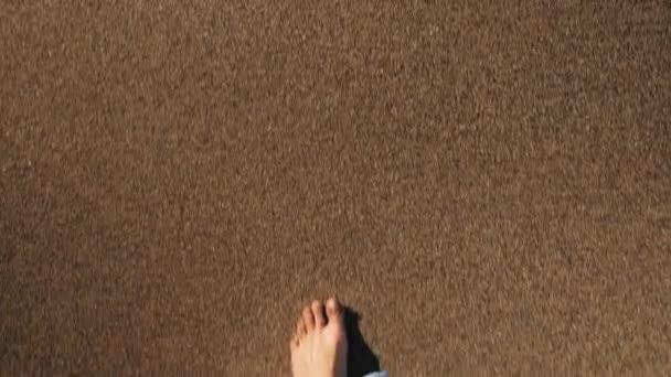 Kvinnliga fötter går på gyllene sand på stranden med havsvågor. Smal kvinna ben promenader längs havet — Stockvideo