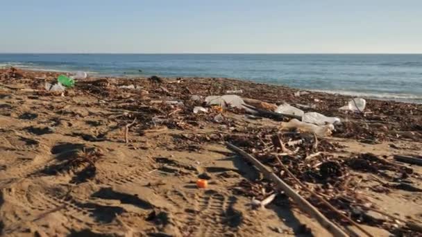 Plastic garbage on beach. Empty used dirty plastic bottles. Dirty sandy sea shore — Stock Video