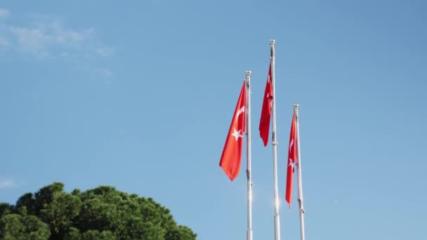 Turkse nationale vlaggen wapperen tegen de blauwe lucht. Nationale symbolen en vlaggen van Turkije — Stockvideo