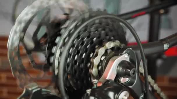 Trabalho de transmissão de corrente, derailleur traseiro com cassete. Loja de reparação de bicicletas — Vídeo de Stock