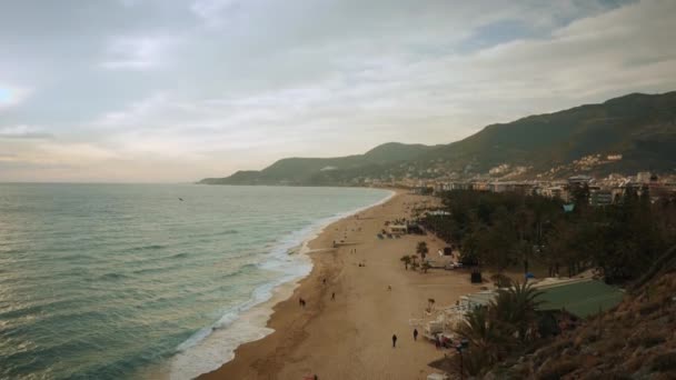 Trópusi tengerpart partvonal. Trópusi strand homokos stranddal, pálmafákkal, üdülőhelyekkel — Stock videók