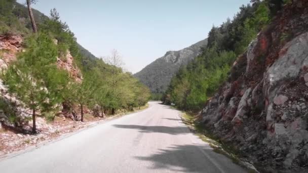 Prázdná asfaltová horská cesta obklopená zeleným lesem. Horská krajina — Stock video