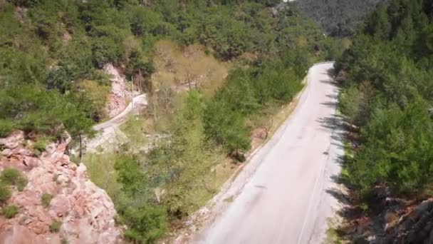 Estrada de montanha sinuosa cercada por árvores. Condução através de estrada de asfalto vazia — Vídeo de Stock