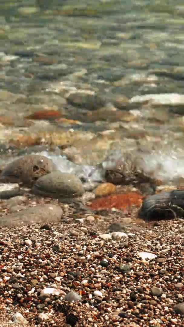 Színes kavicsok a tengerparton, tiszta tengervízzel. Függőleges videó — Stock videók