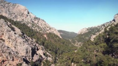 Devasa kayalık dağ sırtları ve yeşil ağaç ormanlı tepeler.