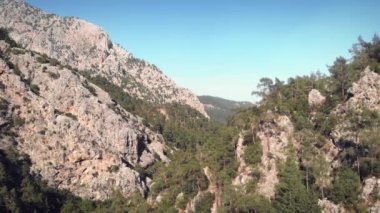 Kayalık dağın üzerinden uçup görkemli yeşil çam ağacı ormanlarını keşfediyor.