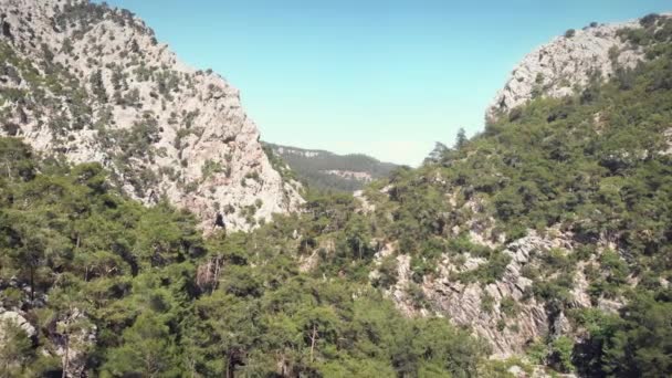 晴れた日には青い空に緑の森を持つ巨大な岩の山 — ストック動画