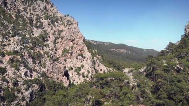 Obrovské skalnaté vrcholky s borovicemi a smrkovým lesem proti modré obloze — Stock video