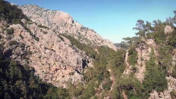 Sziklás hegygerinc felett repül. Hatalmas sziklás hegyek és zöld erdők — Stock videók