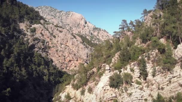 Sziklás hegyek felett repül. Hatalmas hegycsúcsok zöld erdőkkel a napsütéses napokon — Stock videók