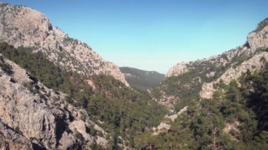 Görkemli dağ manzarası. Yeşil ormanlı kayaların ve taşların üzerinde uçuyor.