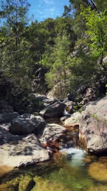 Temiz suyu olan küçük bir dağ şelalesi. Vahşi doğanın etrafında çağlayan su.