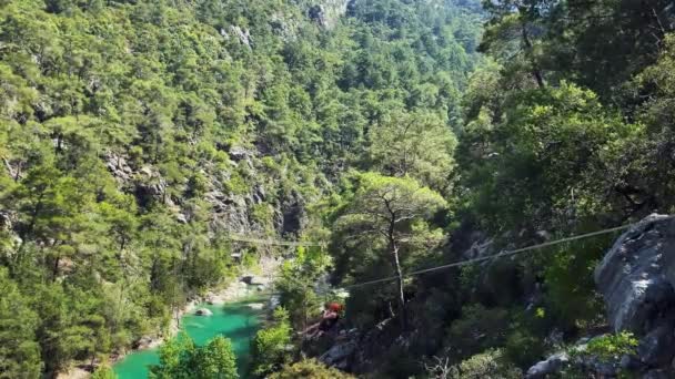 Active woman traveller zip lining through green forest and mountain river — Vídeo de Stock