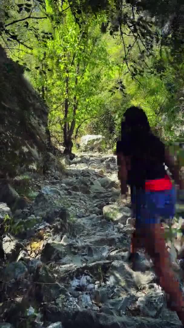 Active female traveller hiking in mountain forest under sunlight. Vertical video — ストック動画