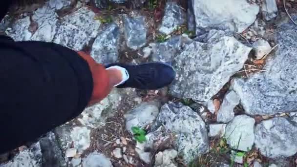 男は山の森でハイキング。森林公園の男性の足。アドベンチャーレクリエーション. — ストック動画