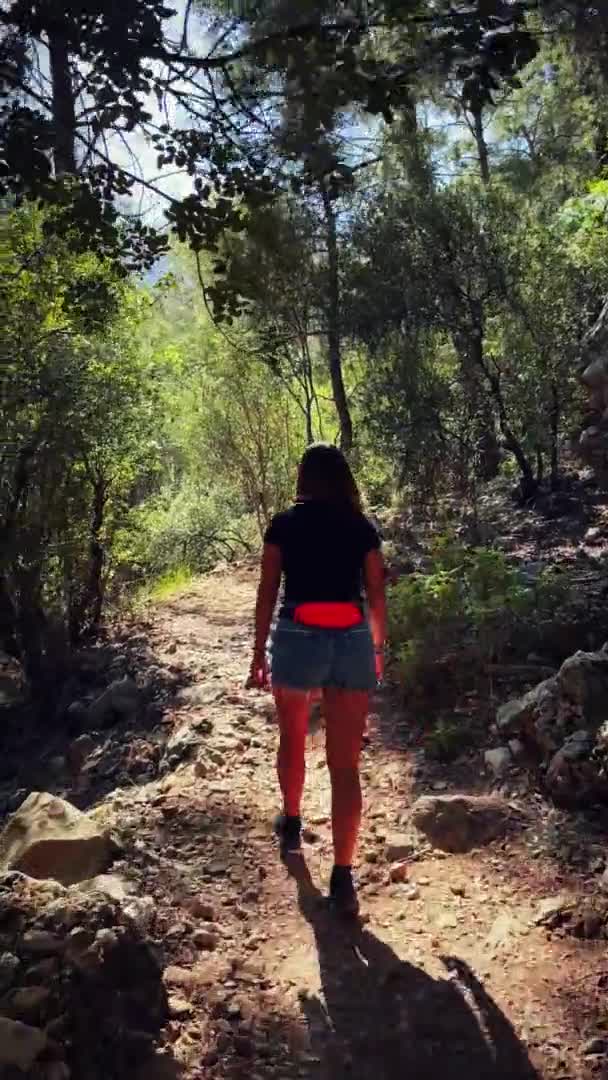 Mädchen wandern an Sommertagen auf Bergpfaden im Wald. Vertikales Video — Stockvideo