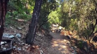 Dağ ormanlarında turistik bölge. Ağaçların dallarında parlayan güneş ışınlarıyla yeşil ormandaki boş patika. Seyahat ve turizm konsepti. Aktif spor yaşam tarzı. Eğlence etkinliği. Vahşi doğa.