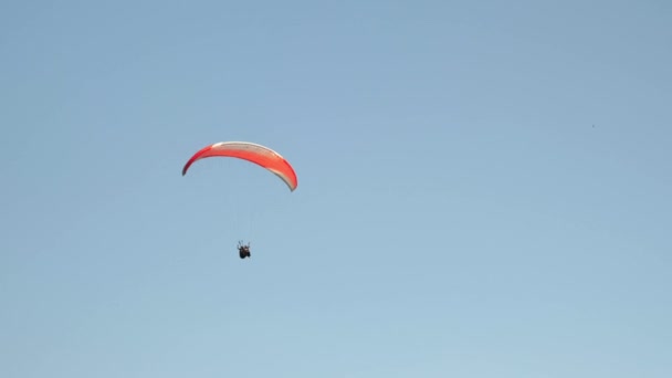 Red parachute flying against blue sky. Paragliding over seashore. Sport activity — Video Stock