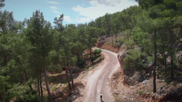 Mountain narrow road and cyclist riding bicycle. Cycling in green tree forest — Wideo stockowe