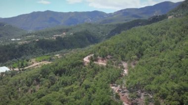 Yeşil ormandaki dar dağ yolunda. Dağ tepeleri arasındaki boş yol