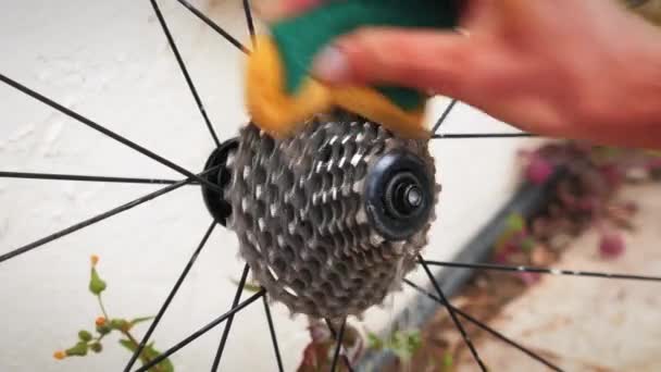 Bike mechanic washing bicycle with water. Man cleaning road bike after ride — Stok video