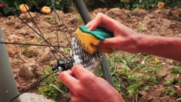 Обслуживание и уход за велосипедом. Человек моет велосипедное колесо с мылом и водой — стоковое видео