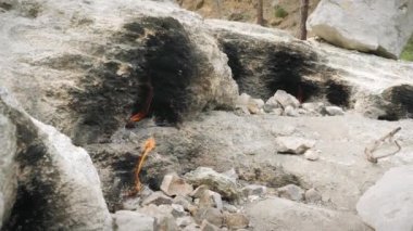 Dağlarda sonsuz alevler. Türkiye 'de popüler seyahat noktası, Cirali