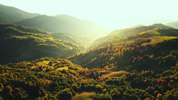 Sonbahar Dağlarında Gün Doğumu Sonbaharda Gün Doğumunda Dağ Ormanı Sonbaharda — Stok video