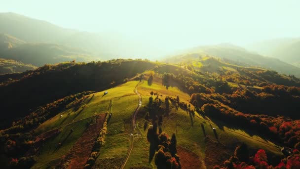 Sabah Güneş Işığında Dağ Sıraları Gün Batımında Yeşil Sarı Ağaçlı — Stok video