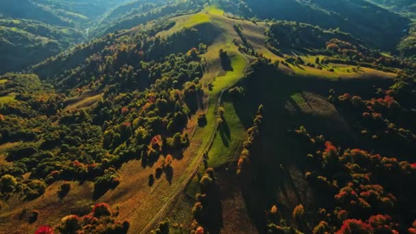 Görkemli Sonbahar Dağ Manzarası Sabah Güneşi Altında Yeşil Sarı Kırmızı — Stok video