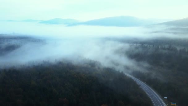 朝の霧の中で巨大な山 灰色の曇りの朝に霧に覆われた山の峰 山の中で雨の天気 霧の霧が松の木の森の上を吹いている 野生の自然景観 — ストック動画