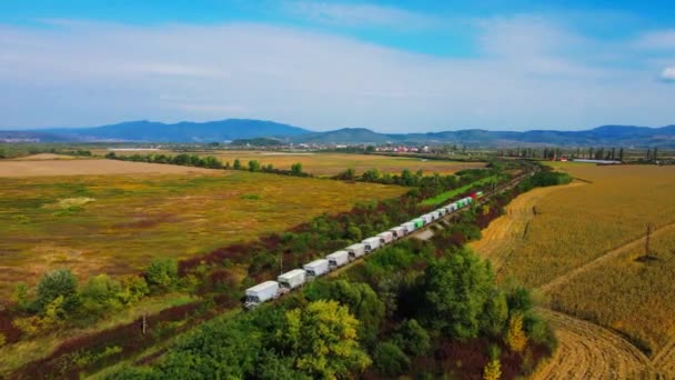 Elektrická Lokomotiva Bílými Nákladními Vozy Projíždějícími Zeleným Lesem Železnici Dodávající — Stock video
