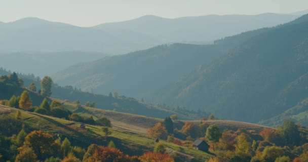 Beau Paysage Montagne Automne Collines Vertes Avec Des Arbres Jaunes — Video