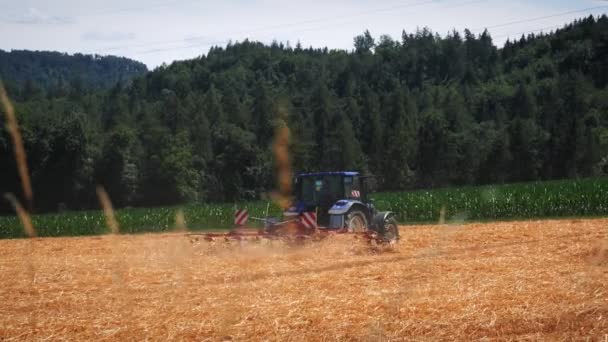 Tractor Cosechando Trigo Campo Agrícola Máquina Cosechadora Que Trabaja Tierras — Vídeos de Stock