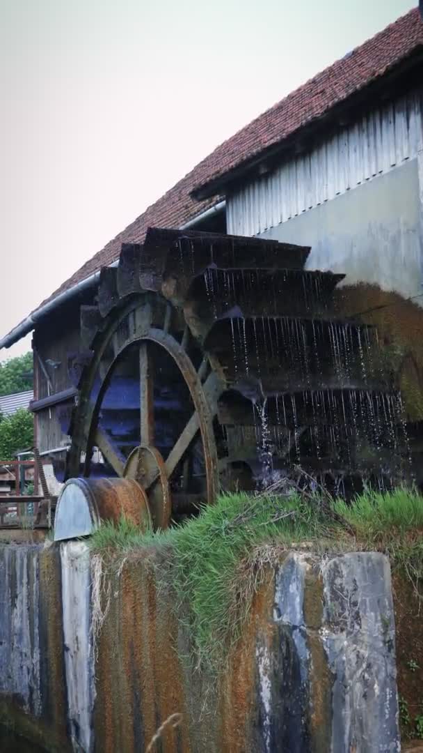 Wheel Old Water Mill Wooden Wheel Spinning Stream Water Old — Stock Video