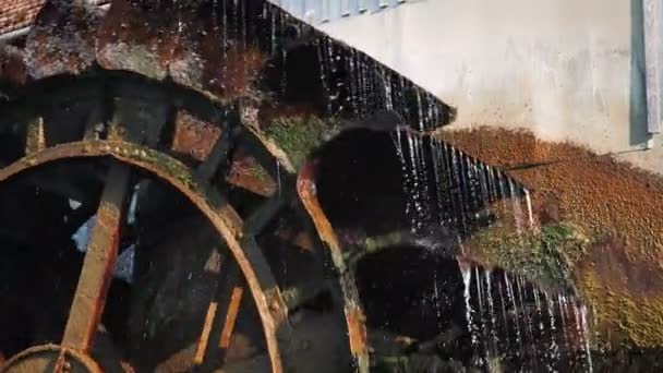 Alte Hölzerne Wassermühle Rad Der Alten Wassermühle Die Wasser Dreht — Stockvideo