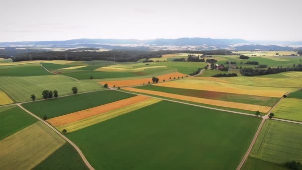 Schöne Landwirtschaftliche Felder Fliegen Über Kultivierte Gelbe Und Grüne Felder — Stockvideo