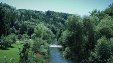 Temiz su nehri olan güzel yeşil orman. Dağ nehri yeşil orman ağaçları arasında akıyor. Vahşi doğa. Doğa manzarası