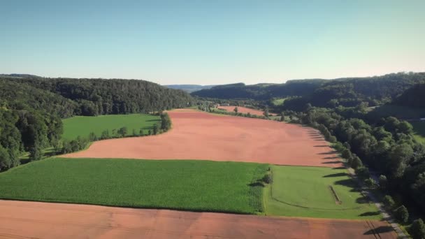 阳光明媚的夏日 美丽的农业 小麦和玉米地景色 春天飞越耕作过的农艺场 农业和收获的概念 农业综合企业和农业 — 图库视频影像
