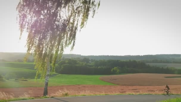 Woman Riding Bicycle Countryside Sunset Professional Road Cyclist Climbing Uphill — Video Stock