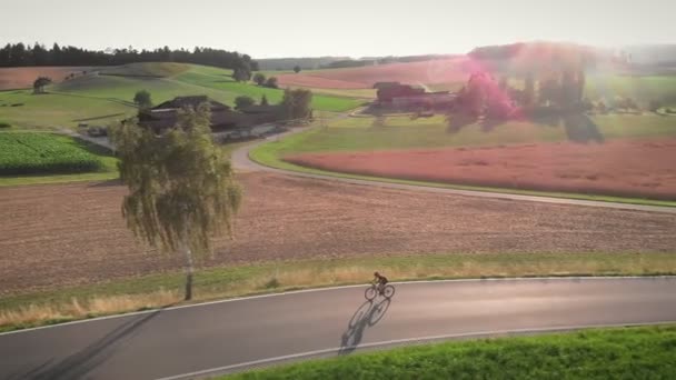 Frau Fährt Auf Rennrad Auf Asphaltstraße Durch Gelbe Weizenfelder Rennradprofi — Stockvideo