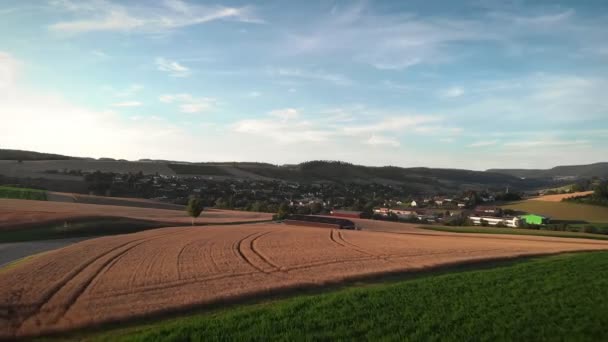 Gelbe Weizenfelder Goldenen Licht Des Sonnenuntergangs Bauernhof Und Felder Der — Stockvideo